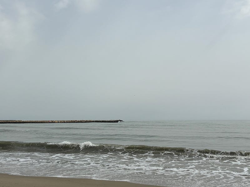 Beach clean-up event with children and parents