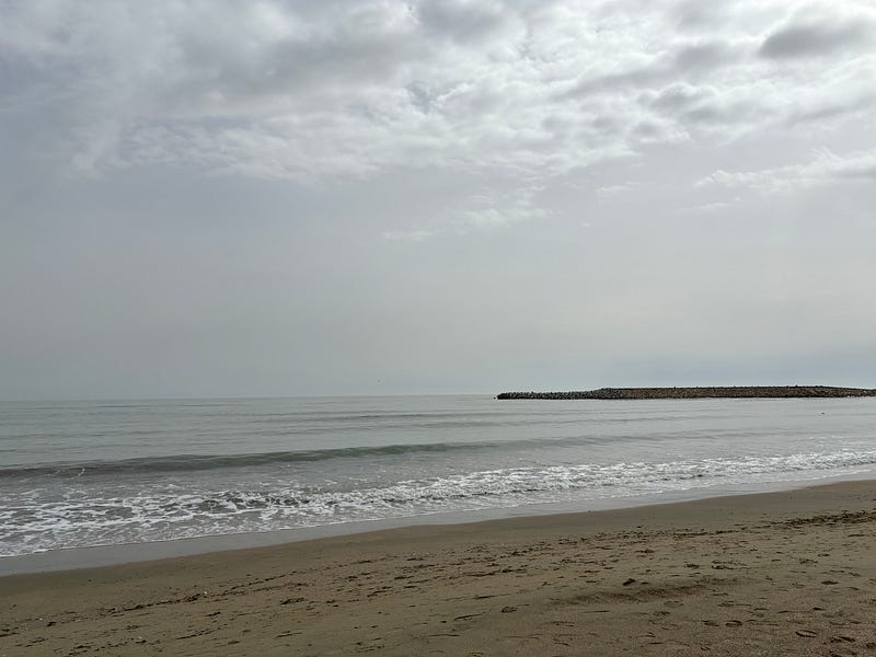 Image of collected trash during beach clean-up