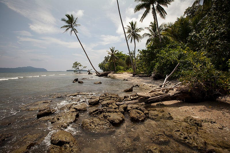 Coastal view of a Solomon Island affected by climate change