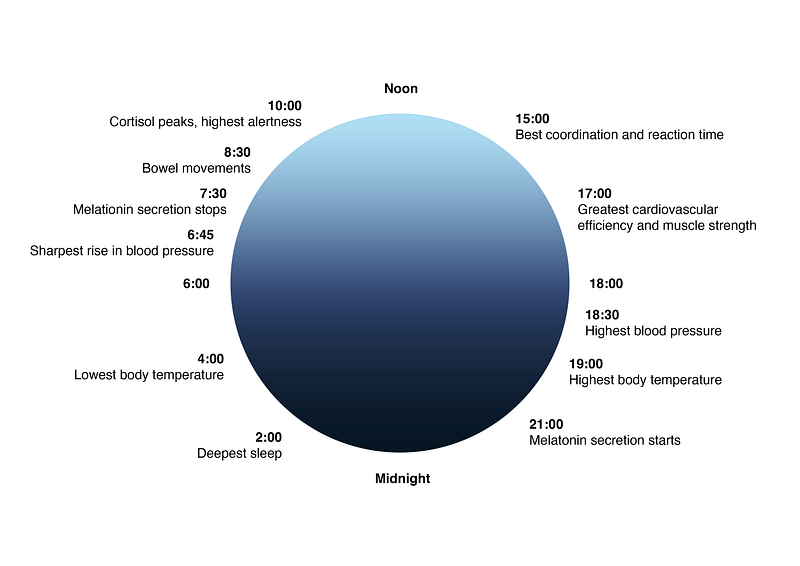 Understanding Circadian Rhythms