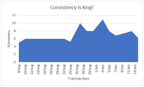 Training for a half marathon as a lesson in consistency