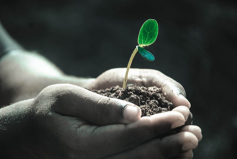 Illustrative image of a plant emitting sounds