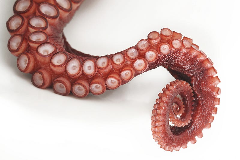 Octopus arm functionality