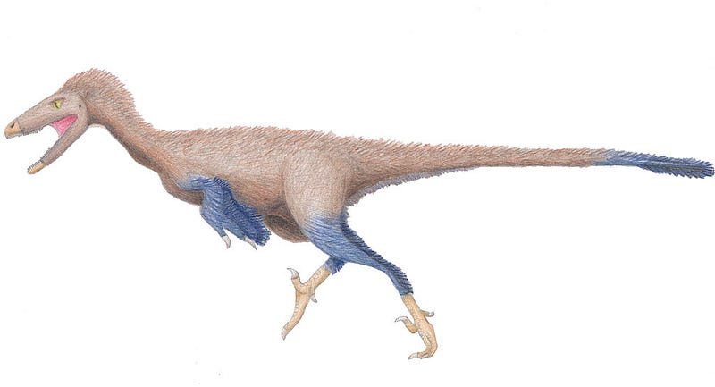 T-Rex's Ancestral Link to Chickens