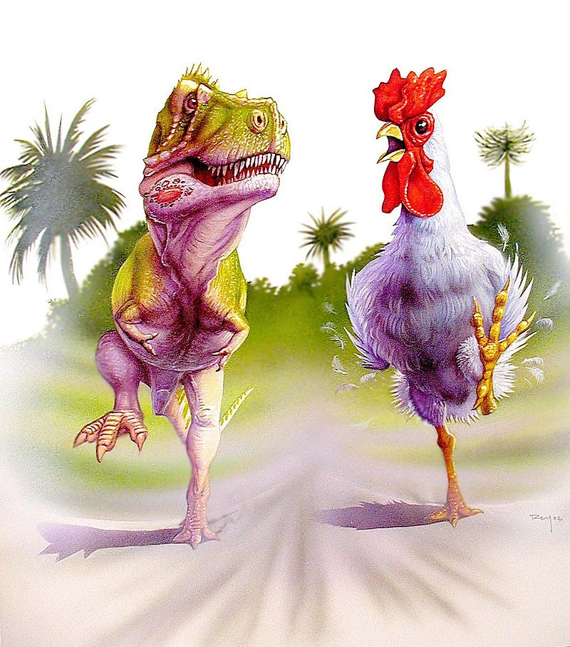 Illustration of the Evolution from Dinosaurs to Birds