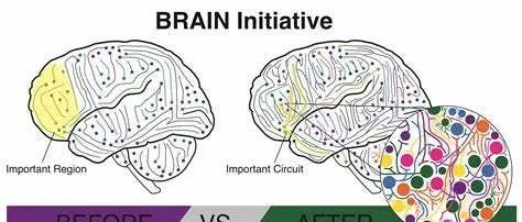 Mapping the complexities of the human brain