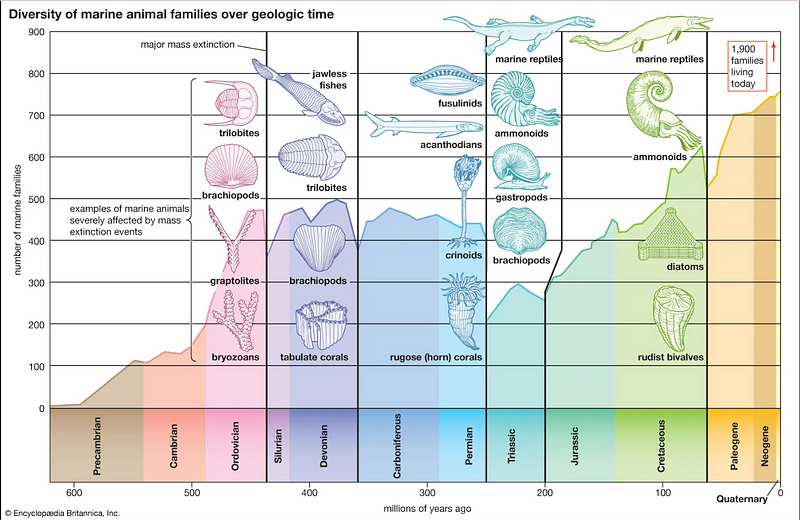 Marine biodiversity through geological time