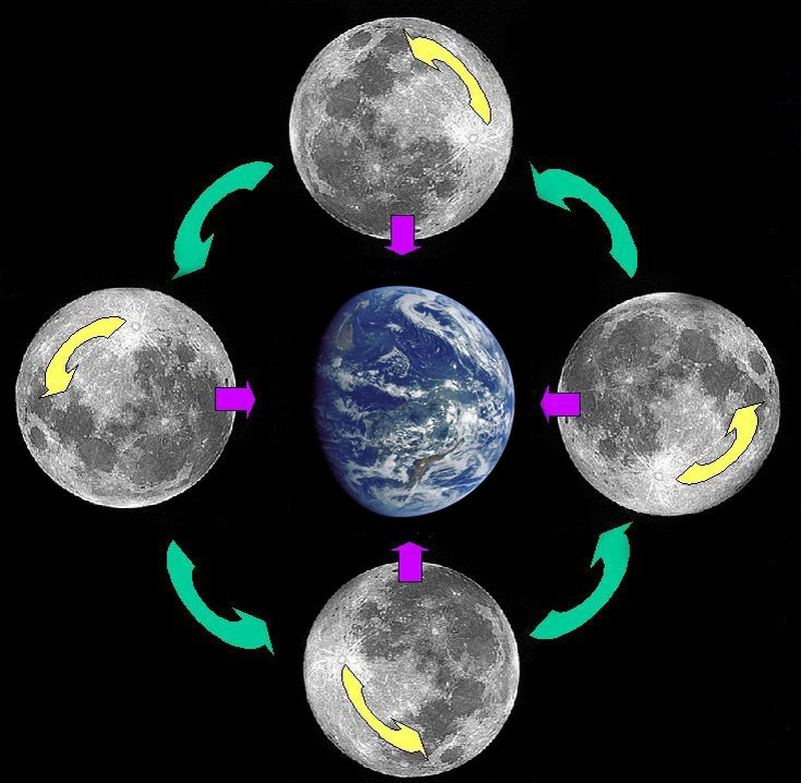 Diagram illustrating tidal locking of celestial bodies.