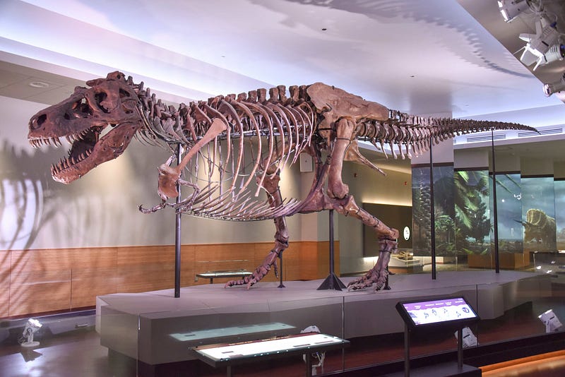 Tyrannosaurus Rex specimen "Sue" at the Field Museum